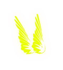 wings